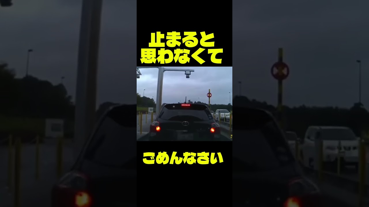 これは虚しい… #事故映像 #事故　#automobile #ダンプ #運転技術 #警察 #ドラレコ