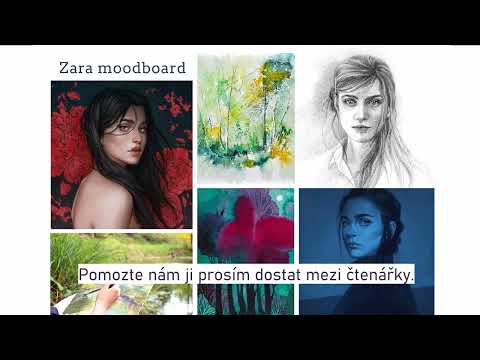 Svět očima umělkyně; podpořte Prvek náhody!