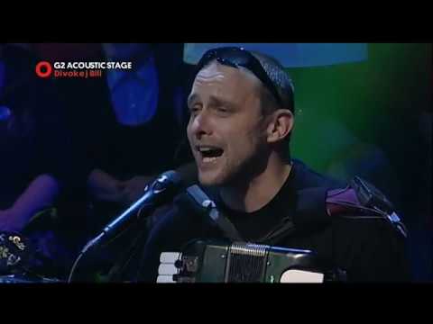 Divokej Bill   G2 Acoustic Stage 2014
