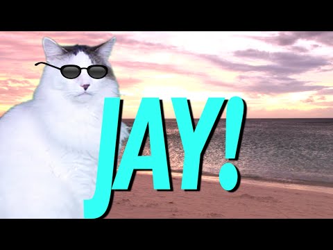 HAPPY BIRTHDAY JAY! - EPIC CAT Happy Birthday Song