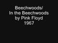 Pink Floyd - Beechwoods / In the Beechwoods
