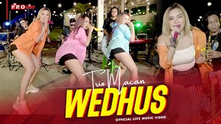 Wedhus - Trio Macan (Official Music Video)  Live V