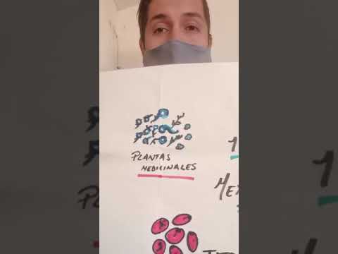 PRODUCTOS EXPORTADOS MEXICANOS