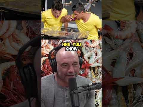 Are Shrimp and Lobster Just Sea Bugs? The Surprising Connection Explained! JRE #1369