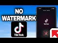 How to download TikTok video without watermark in 2024 (Step by Step)