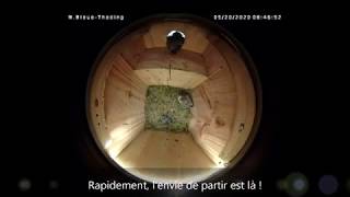 Der Abflug der beiden Küken