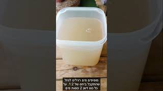 שיטה חסכונית ויעילה לדישון הצמחים - דישון ביתי משאריות של ירקות ופירות