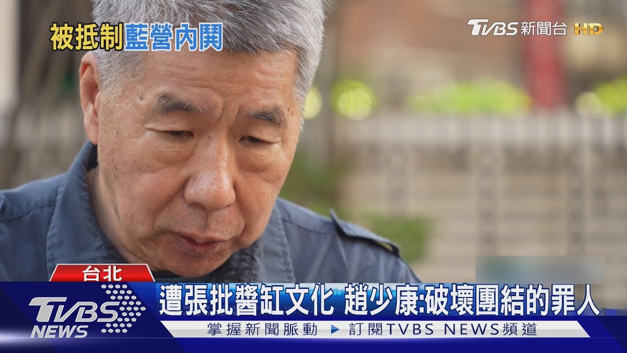 張亞中下辯論戰帖 趙少康拒絕 怒轟夠了