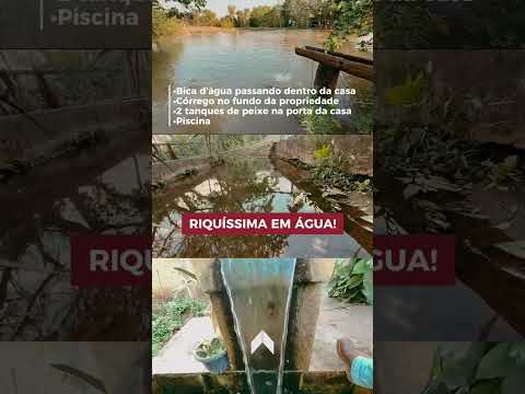 Chácara Rica em Água - São Luís de Montes Belos Goiás - IMC fazendas