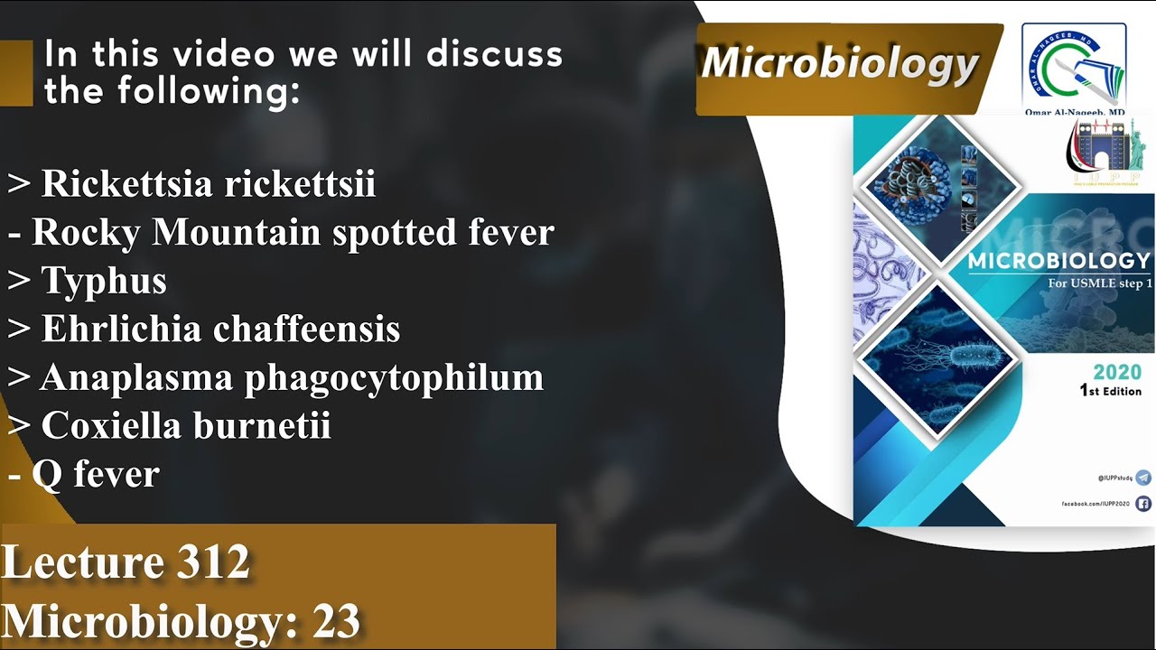 Rickettsia rickettsia | Ehrlichia chaffeensis | Coxiella burnetii | Q fever