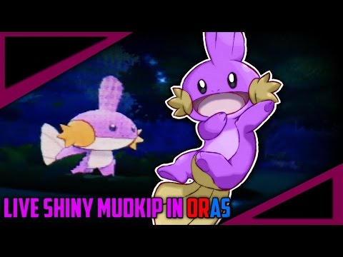 LIVE! Shiny Mudkip on Pokemon Omega Ruby After Less Than 1000 SRs!