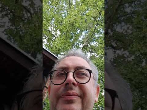 In eigener Sache 31.07.2019 || Das Leben ist schön