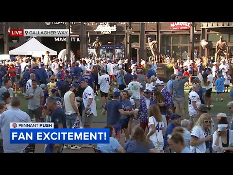 Fans celebrate as Cubs take game 1 in Wild Card series