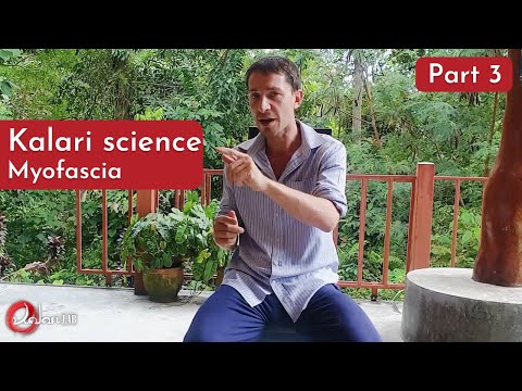 Kalaripayattu Science - Myofascia - Part 3
