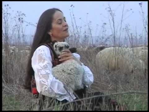 Rock Filarmonica Oradea - Dumnezeu, ciobanul şi larma turmei