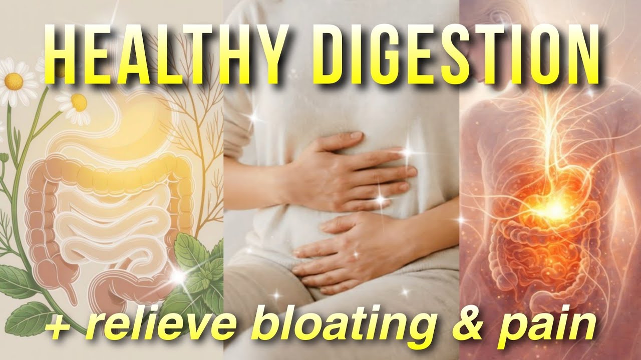 「experimental」GUT HEALING & CLEANSING + improve digestion