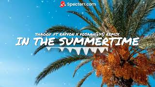 IN THE SUMMERTIME _- SHAGGY &amp; RAYVON X VOSAAH[679] REMIX