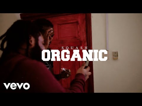 Squash, Skybad - Organic (Official Visualizer)