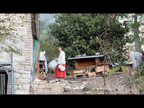 Palmoli is annoyed and shocked by the decision.