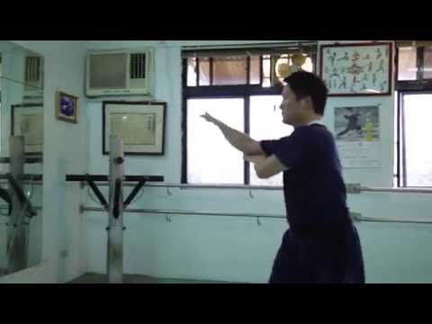 崑崙派蛇形拳