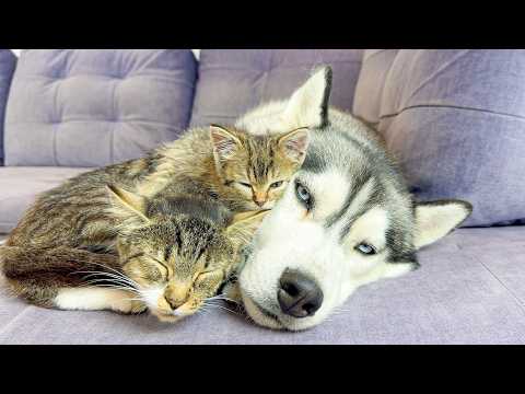 YouTube 썸네일