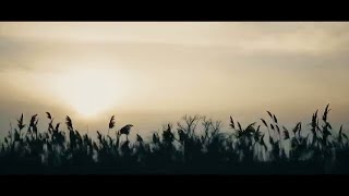 Рыбалка и отдых на маныче