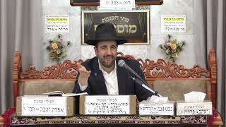 הרב מאיר אליהו | פרשת בא | מוסאיוף - ה׳תשפ״ו (הרב מאיר אליהו) - התמונה מוצגת ישירות מתוך אתר האינטרנט יוטיוב. זכויות היוצרים בתמונה שייכות ליוצרה. קישור קרדיט למקור התוכן נמצא בתוך דף הסרטון