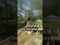 Rafter Install
