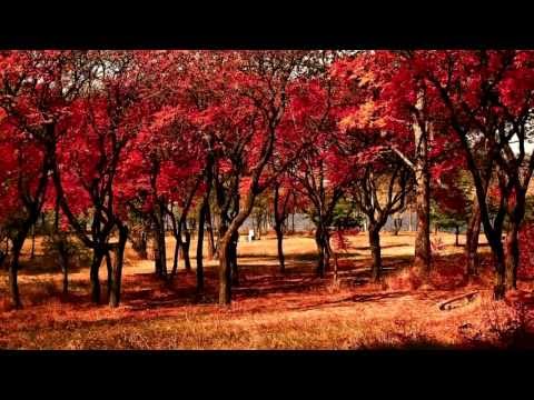 ჩიხლაძეები - კართან მოდგა შემოდგომა, chixladzeebi - kartan modga shemodgoma