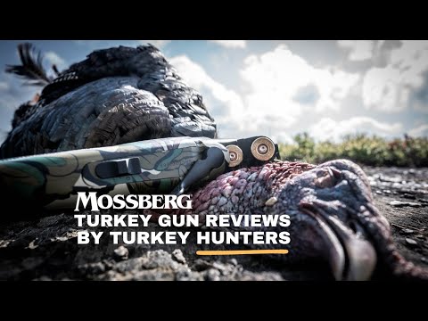 Mossberg Shotgun REVIEW - 940 Pro Waterfowl (Semi Auto Shotgun)