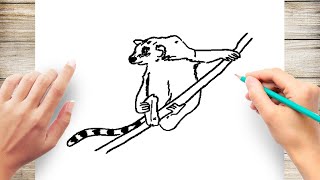 How to Draw Lemur for Kids Step by Step Easy