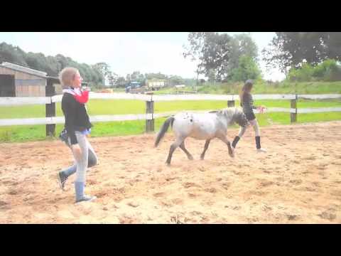 komm, wir heben ab! ♥