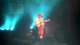 Pitboer   De Nette Huisvrouw