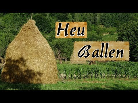 Heu Herstellung, Heuhaufen, traditionelle Landwirtschaft Rumänien