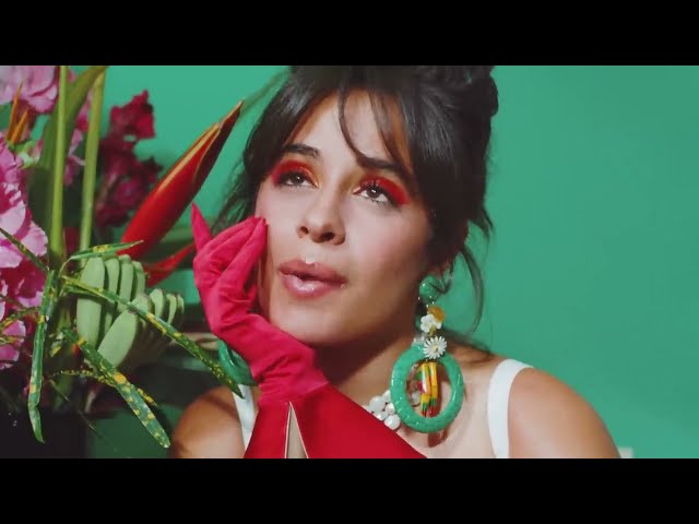 Don't Go Yet von Camila Cabello ((jetzt ansehen))