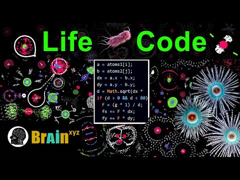 Create Life From a Simple Rule