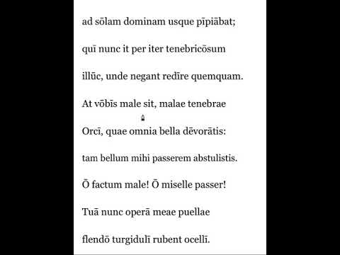 Catullus 3 (lines 10-18)