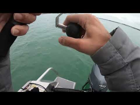 Protako Slow DNA 漂 + Daiwa Saltiga 10H