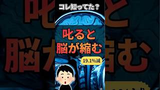 絶対にやってはいけない子どもの脳を壊す叱り方 #育児 #子育て #OneMag
