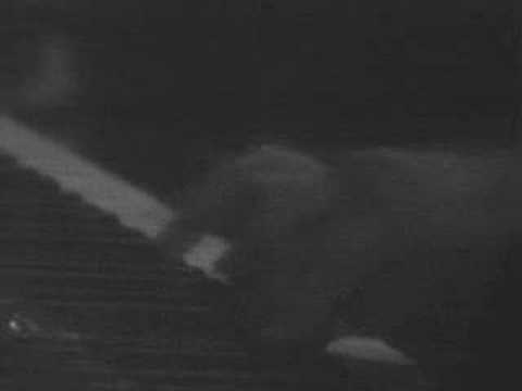 Dawn by Beatrice Ohanessian (Part 1/2)