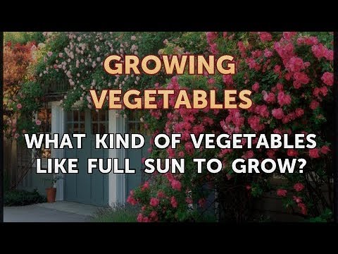 When to Pick Hungarian Hot Wax Peppers