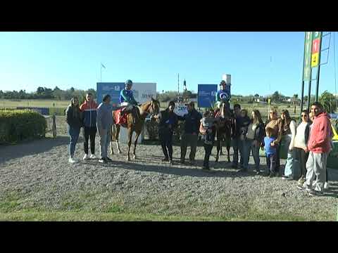 SINT COLONIA - 220707 c06 1° SHINNY