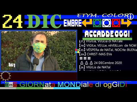 TG1 partitocrazia 24 DICembre straordinario accesso informativo di 5 secondi al partito dei Verdi.