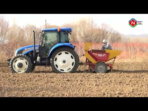 Ailə təsərrüfatları - 25.05.2022