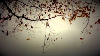 William Basinski - Disintegration Loop d|p 2.1