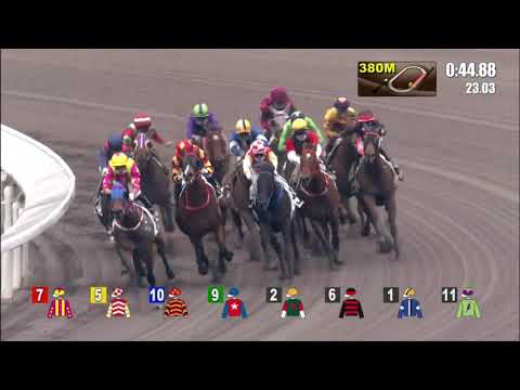 7/3/2021 (479) Lucky Ruby - N Callan