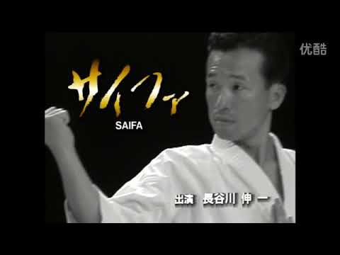 Kata saifa and bunkai