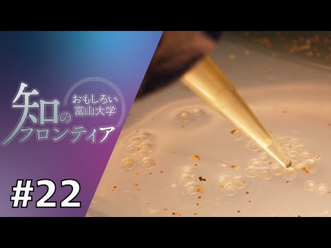 知のフロンティア～おもしろい富山大学～　第22回　2025年11月11日（火）放送分　「“見える”からわかる脳のしくみ〜魚から生まれる医療のヒント〜」（薬学部）