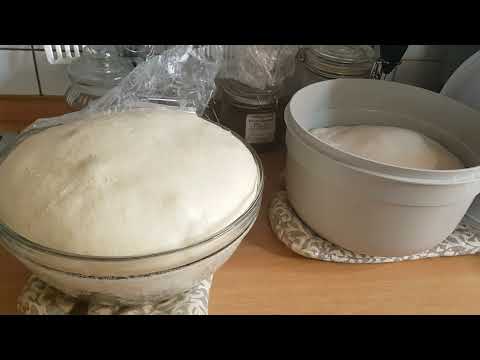 lievito madre, kalt aus dem Kühlschrank geholt und verarbeitet 24 Stunden gehen gelassen