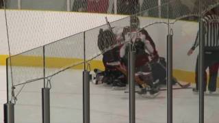 preview picture of video '#13 Goal 20091206 Toronto Aces 1996 Minor Bantam AA Team 2009-10 Season'